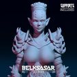 09.jpg Demoness Punisher Topless 3D print model