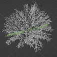 Vista4.png Baum