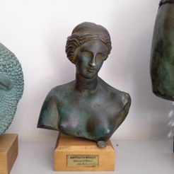product_image_11828.jpg Бесплатный STL файл Venus of Milos・Шаблон для 3D-печати для загрузки