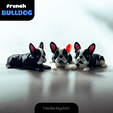 french_bulldog_keychain1.png French Bulldog Flexi Keychain