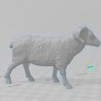 EaseUS_2023_09_16_14_43_43.jpg Sheep, 4 or 5 legs, + 1 new model 🐏