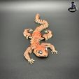 IMG_31044.jpg cute fuzzy Gecko - Articulé - Impression en place - Sans support