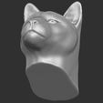 15.jpg Cougar / Mountain Lion head for 3D printing