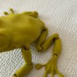 image00002~2.jpeg Articulated Clean Frog (V7 childproof links available now) scalable upto 30%