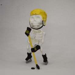 DSC_1541-bis.jpg STL file SQUELETTE Hockeyeur ARTICULÉ /Hockey SKELETON FLEXI・3D printable model to download