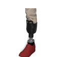 Foto2.png Professional Prosthesis for the Middle Segment of the Left Leg - Professional Prosthesis for the Middle Segment of the Left Leg