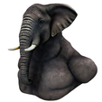 model-1.png Muscular Elephant head