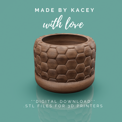 39.png Datei STL 3D-Druckbare STL-Datei. Büro- oder Heimdekoration: Pot Planter Design für eine Sukkulenten, Bonsais, und verschiedene Pflanzen - Instant Download - Pot 12・Modell für 3D-Druck zum herunterladen