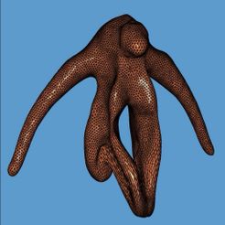 Screenshot_20190923_224254.jpg Anatomic Clitoris