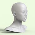3.76.jpg 5 3D Head Face Eyes Female Character Women art portrait doll 3D Low-poly 3D model