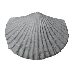 G189a.jpg STL file Ordovician brachiopod 14・3D printable model to download