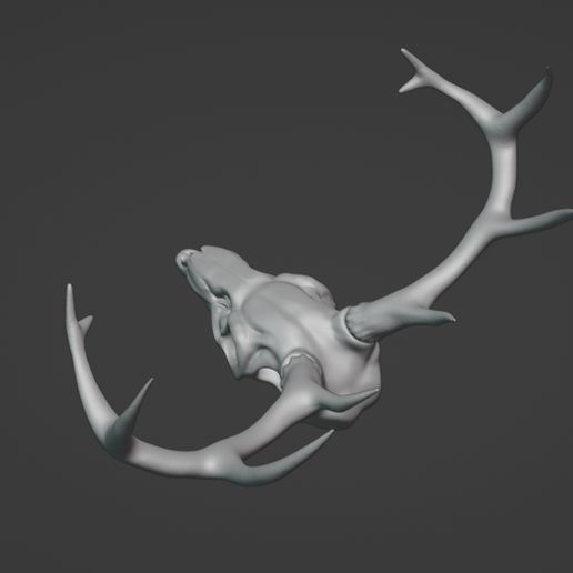 ScreenShot004.jpg Deer Skull