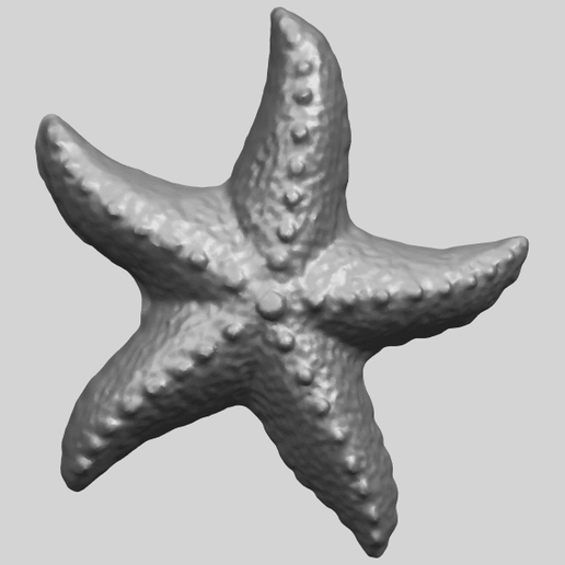 👽 Starfish 03・Free 3D File for ・Cults