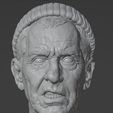 WhatsApp-Image-2026-a03-27-at-18.25.37.jpeg Mickey Goldmill Head (Rocky)