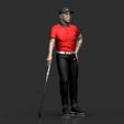 Preview_7.jpg Tiger Wood 2