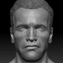 ZGrab02_0.jpg Archivo STL Arnold Shwarzenegger Cabeza・Objeto imprimible en 3D para descargar