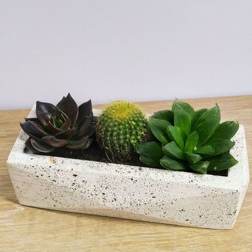 Edge planter 3D model