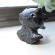 IMG_9312.JPG OBJ file Digimon - Agumon Bust・Design to download and 3D print
