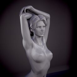 screenshot017.jpg Fichier STL 18K Anatomy - Femme remastérisée・Modèle à imprimer en 3D à télécharger, Nutshellatelier