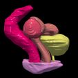 6.jpg 3D Model of Pelvis Organs
