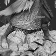 Nameless-King05.jpg Nameless King