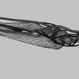 wf5.jpg Upper limb arteries axilla arm forearm 3D model