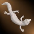 a3.jpg Leopard Gecko Realistic Pet Reptile Lizard