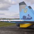 _DSC8752.jpg Sukhoi Su-28s RC single seat jet fighter for 50mm EDF (Test Files)