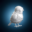 pilot-bird-3d-print-model-animal-character20260625-stl-3d-print-turntable-02-60deg.png Pilot Bird 3D Print Model