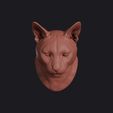 african_golden_cat_0001.jpg African Golden Cat Head