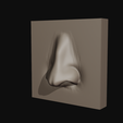 nose.png Archivo STL gratis Características faciales・Diseño de impresora 3D para descargar