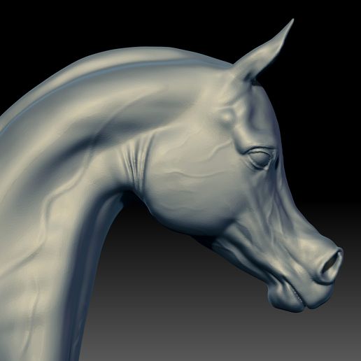 13.jpg Arabian Horse