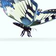 0009.jpg DOWNLOAD BUTTERFLY 3D MODEL - ANIMATED - MAYA - BLENDER 3 - 3DS MAX - UNITY - UNREAL - CINEMA 4D - 3D PRINTING - OBJ - FBX - 3D PROJECT CREATE AND GAME READY BUTTERFLY - DRAGON