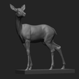 10.png Deer
