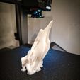 IMG_20241018_005412.jpg Halloween Deer Skull Keychain