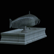 Catfish-statue-14.png fish wels catfish / Silurus glanis statue detailed texture for 3d printing