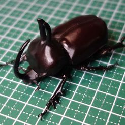 DSC05351.JPG Free STL file Eupatorus Birmanicus・3D printer design to download