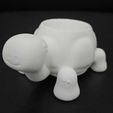 Cod391-Turtle-Pot-11.jpeg Pot de tortue