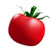 3.jpg TOMATO FRUIT VEGETABLE FOOD 3D MODEL - 3D PRINTING - OBJ - FBX - 3D PROJECT RED TOMATO FRUIT VEGETABLE FOOD