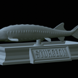 Sturgeon-statue-19.png fish beluga / sturgeon / huso huso / vyza velká statue detailed texture for 3d printing