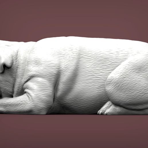 pug-for-3d-printing-3d-model-81274f592f.jpg pug is sleeping 3D print model