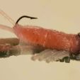 20190815_184040.jpg Craw Mold for Silicone Soft Bait