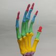 Hand-bones-11.jpg HAND BONES FOR ANATOMY STUDY