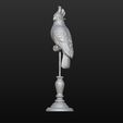 p111.jpg parrot -decorative parrot