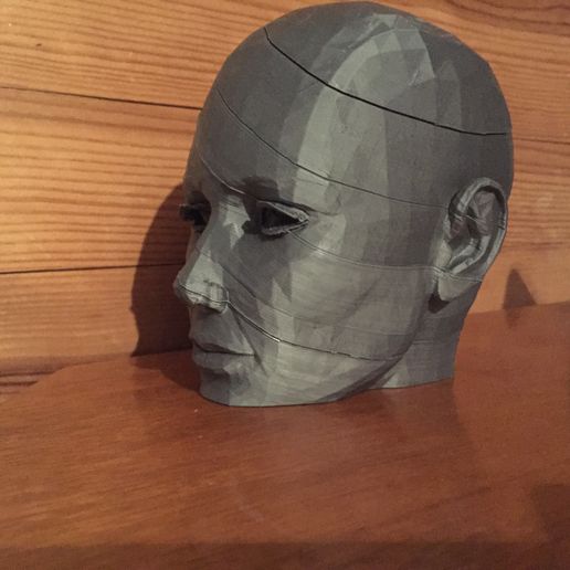 IMG_1938.JPG Download free STL file Sliced woman's head • 3D print template, juanpix