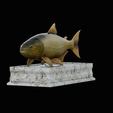 golden-dorado-statue-box-1-3.png fish golden dorado / Salminus brasiliensis with storage space / for 3d printing
