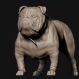 15.jpg Bulldog model 3D print model