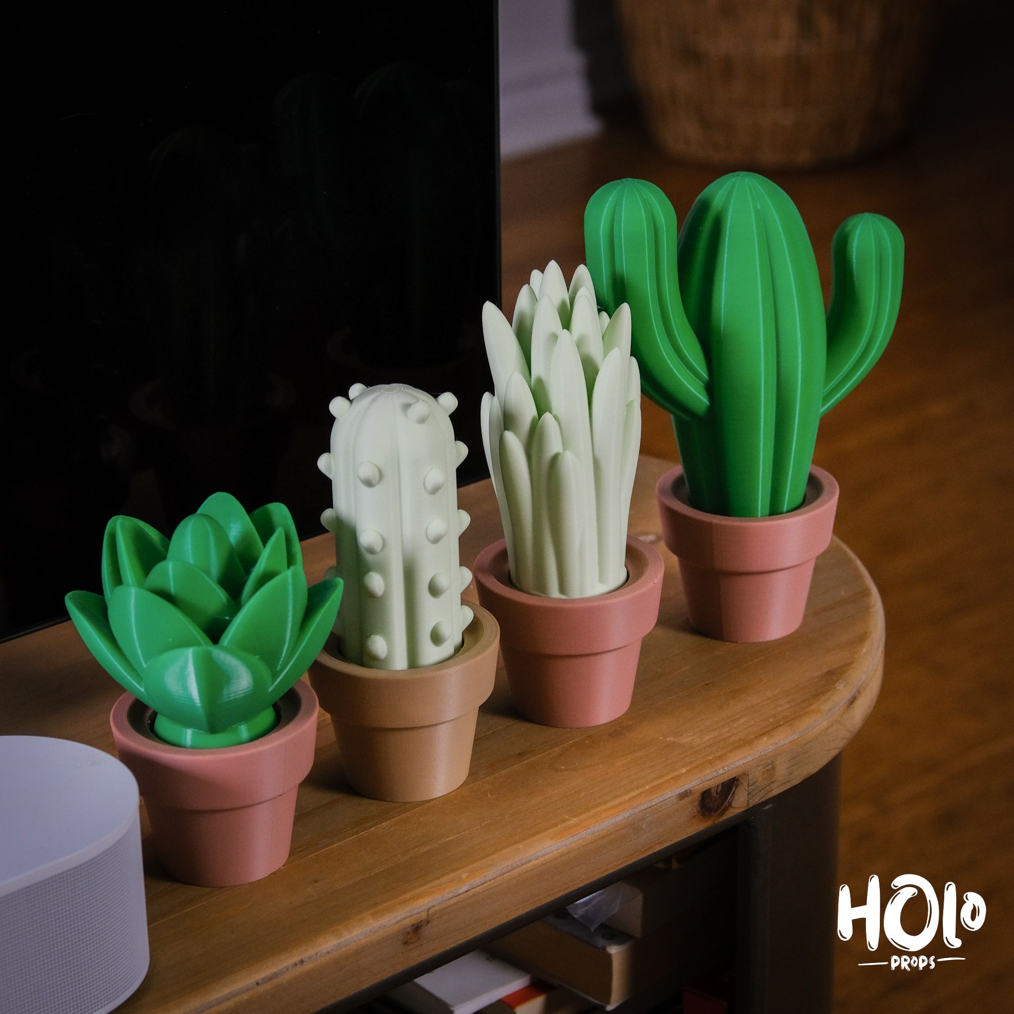 DSCF5036.jpg 3D file Cute Cactus Home Decor - Print in Place・Model to download and 3D print, Holoprops