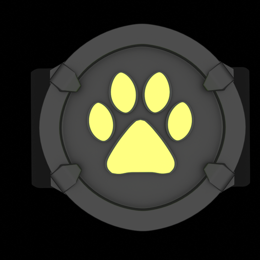 3.png Cat Noir die Katze Miraculous Ring