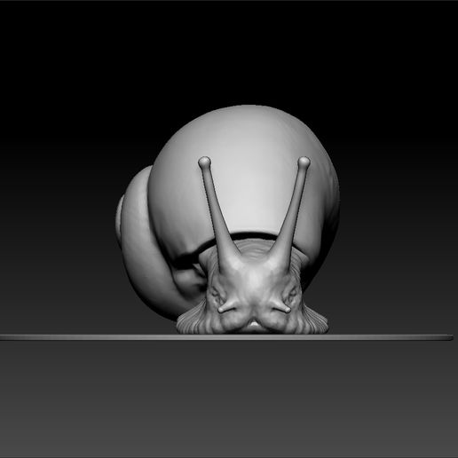 ZBru663cument.jpg Caracol